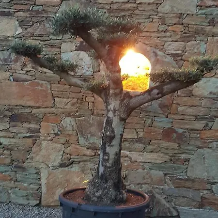 Bed & Breakfast A Funtanella