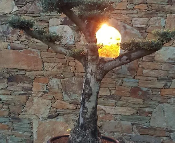Bed & Breakfast A Funtanella